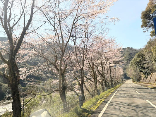 2026.3.23 茶話会を開催しました。